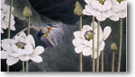 Liang Wei